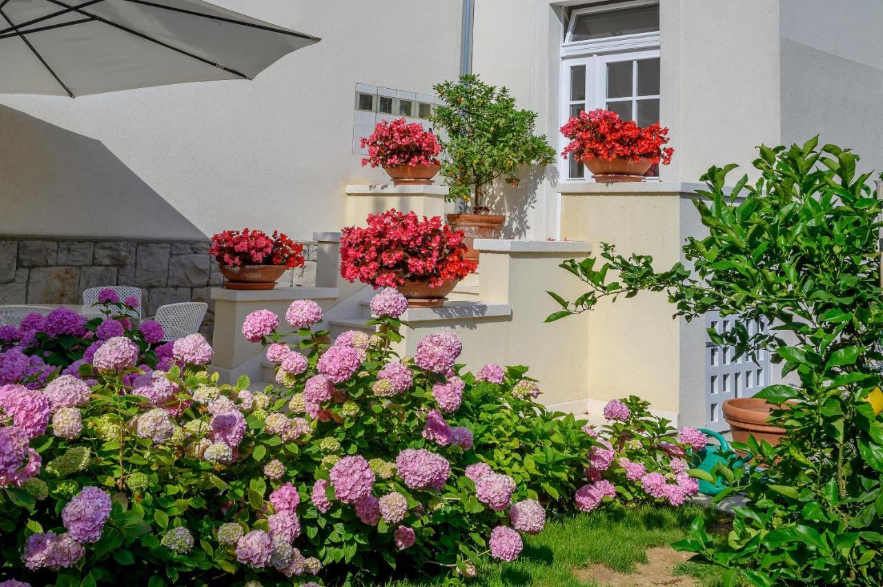 Palace Schoen Milesi - Esense Of Prestige - Private Pool - Free Parking - Old Money Style Luxury Rooms - Walking Distance To The Old Town, The Beach And All Amenities - Buralux Properties 스플리트 외부 사진